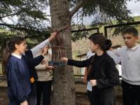  Акция «Кормушка для птиц» в нашей школе